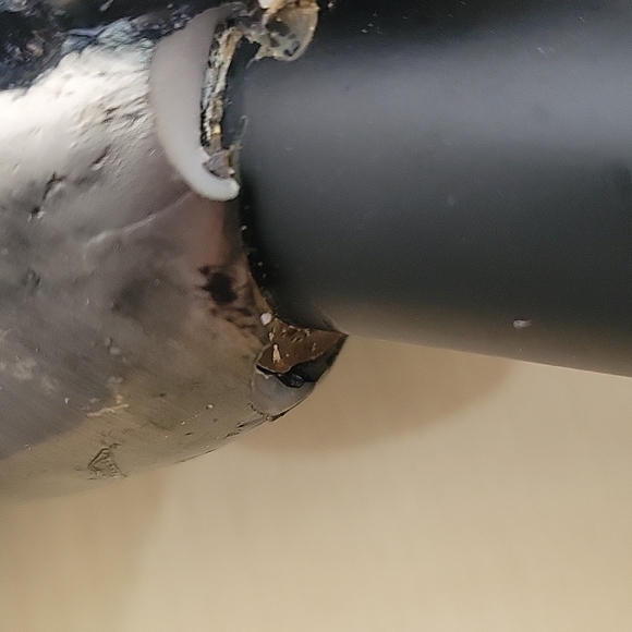 Cane walker - Picture 12 of 13